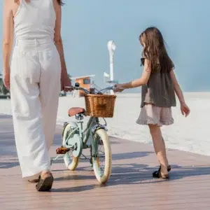 adam bike the dutch style ''16