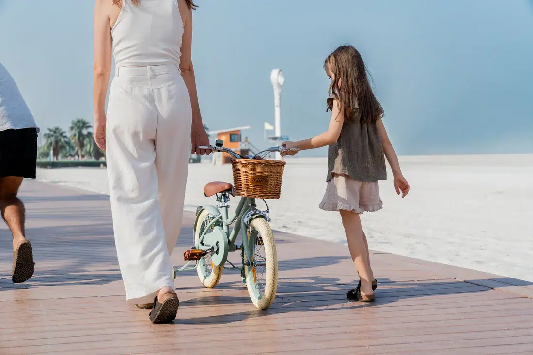 adam bike the dutch style ''16