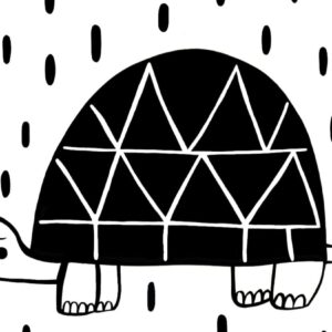 kids poster turtle