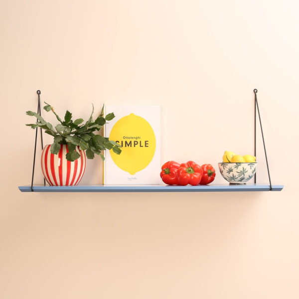 babou single shelf blue paradise look