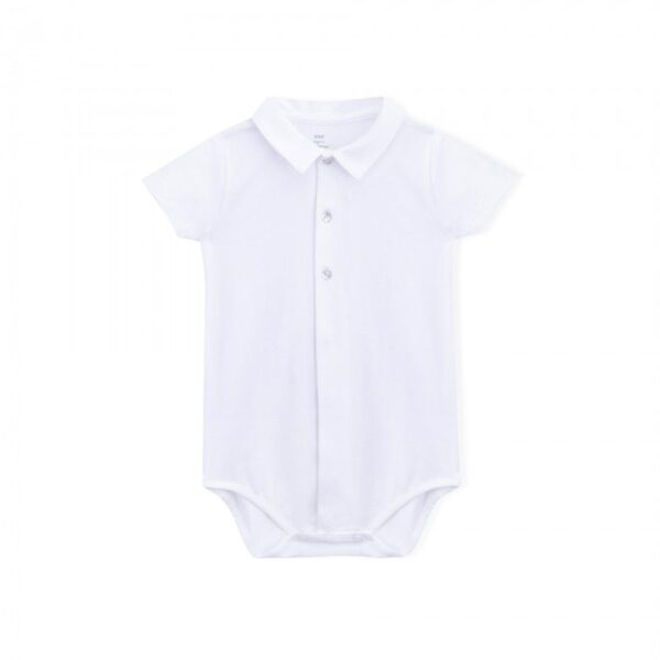 body cotton short sleeve timeless