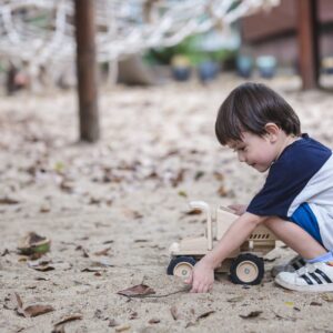 dump truck toy look3