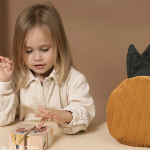 fruits wooden cubes look5