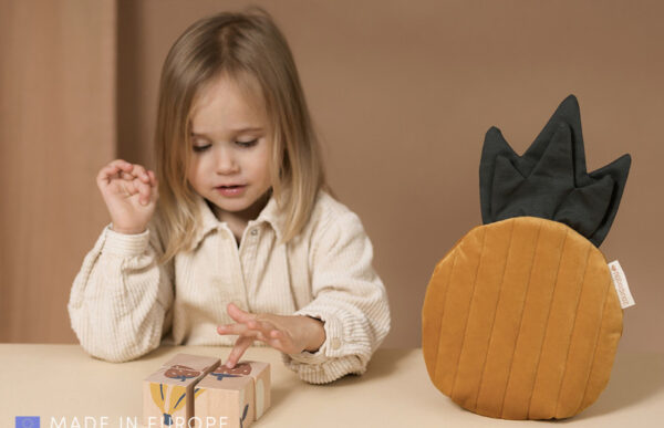 fruits wooden cubes look5