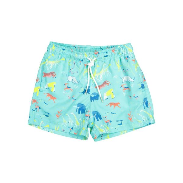 Boy Swim Short