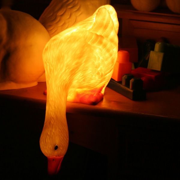 lamp duck looking down look