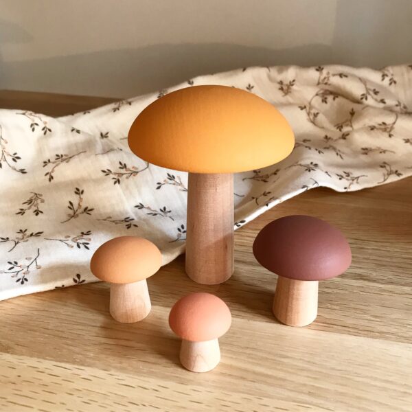 mushroom autum lifestyle