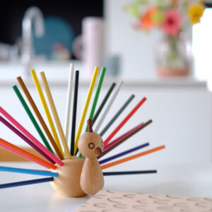 peacock pencil holder look