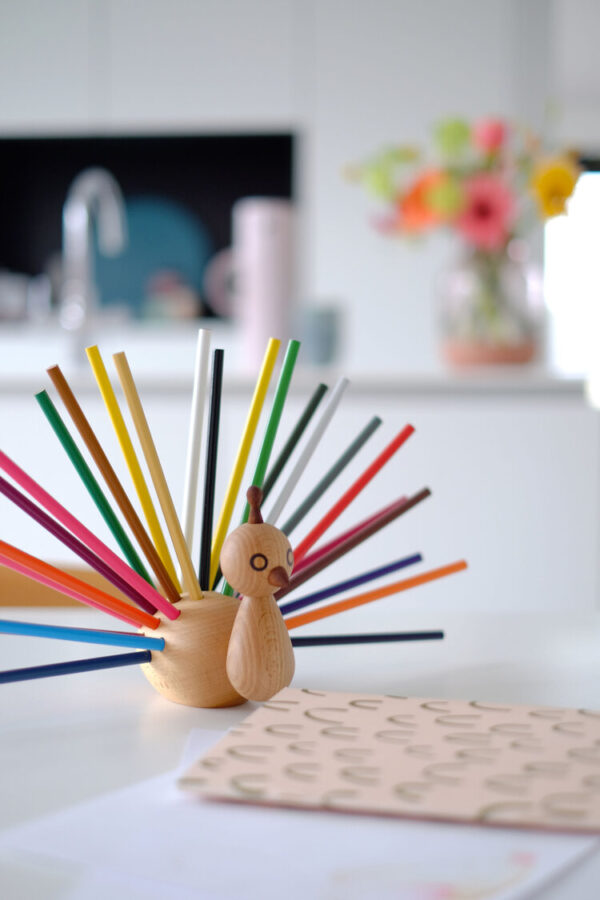 peacock pencil holder look