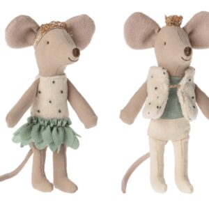 royal twins mice little sister and brother in box