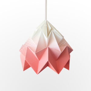 Lighting Moth Origami Lamp