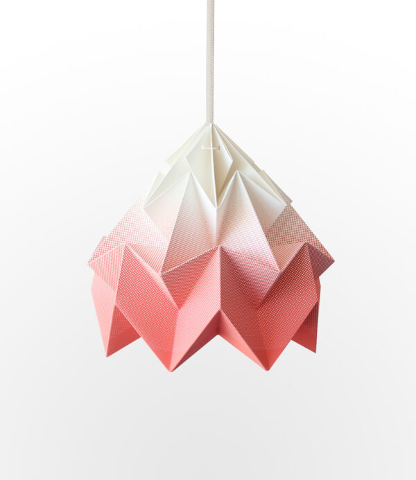 Lighting Moth Origami Lamp