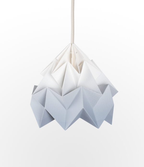 Lighting Moth Origami Lamp
