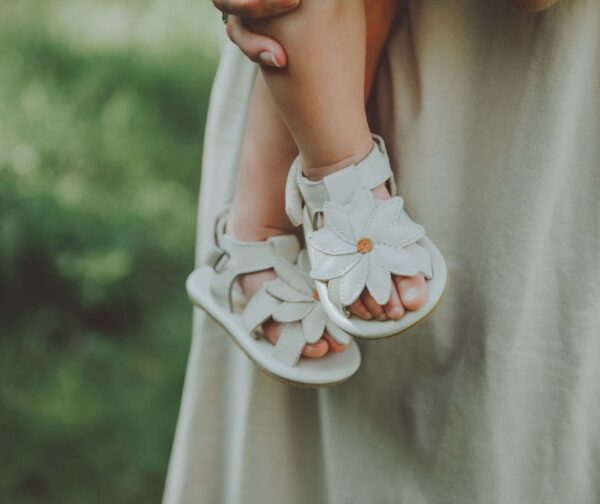tuti fields daisy