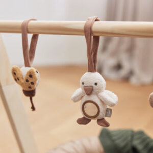 babygym toys spring garden