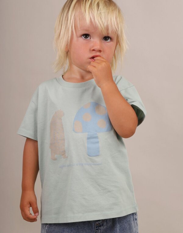 big mushroom t shirt