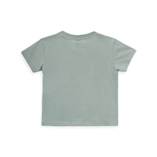 big mushroom t shirt