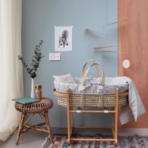 NURSERY and BABYCARE