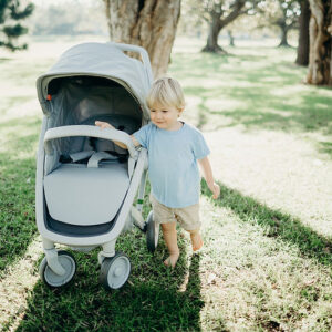 eco stroller classic grey and grey