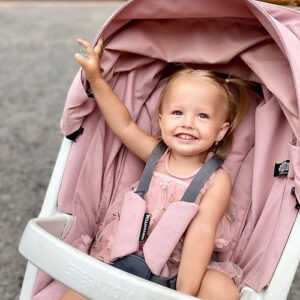 eco stroller classic grey and blossom