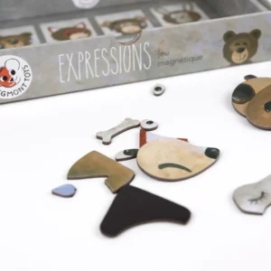 magnetic game expressions