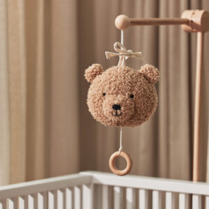 musical hanger teddy bear biscuit