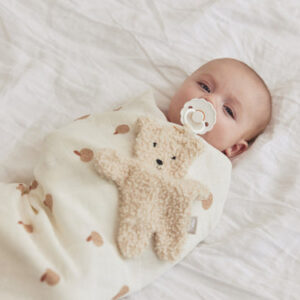 pacifier cloth teddy bear natural