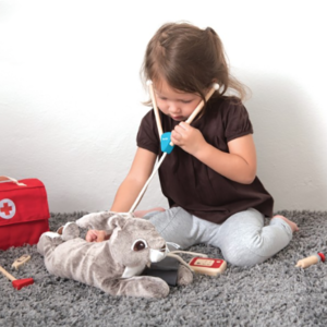 plan toys doctor kit gal4