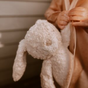 stuffed animal mrs. pookie rabbit