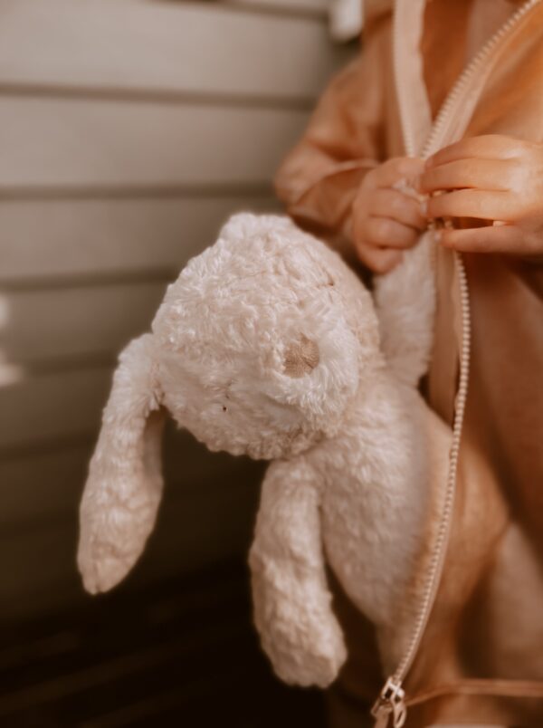 stuffed animal mrs. pookie rabbit