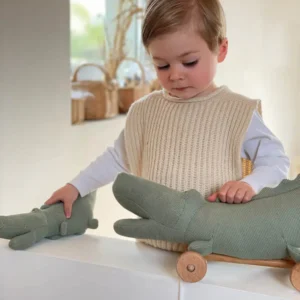 pull along crocodile