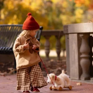 pull along toy eliot