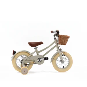 adam bike the dutch style "12