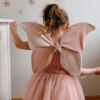 the pink butterfly