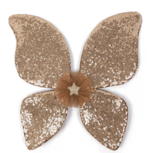 the glitter butterfly