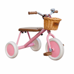 adam bike the tiny tricycle