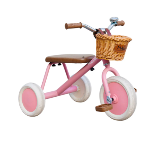 adam bike the tiny tricycle