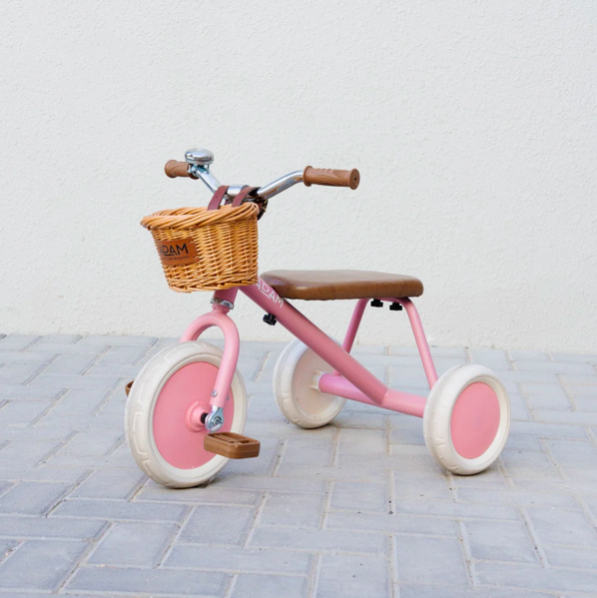 adam bike the tiny tricycle
