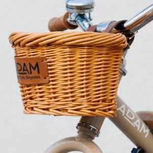 adam bike the tiny tricycle