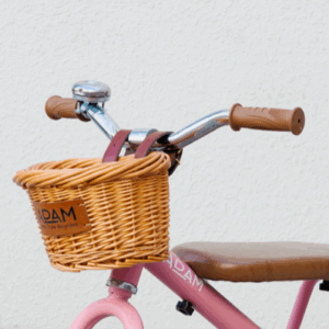 adam bike the tiny tricycle