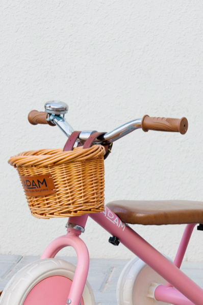 adam bike the tiny tricycle