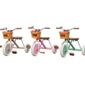 adam bike the tiny tricycle