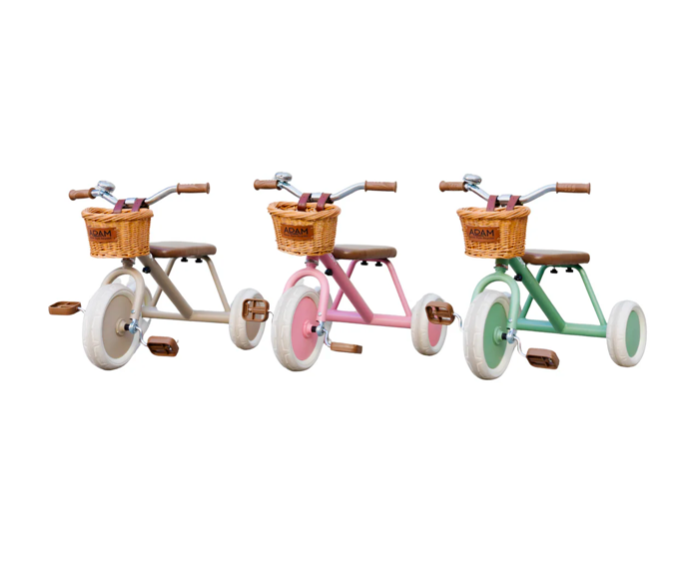 adam bike the tiny tricycle
