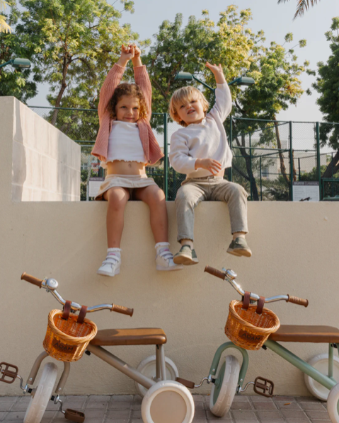 adam bike the tiny tricycle