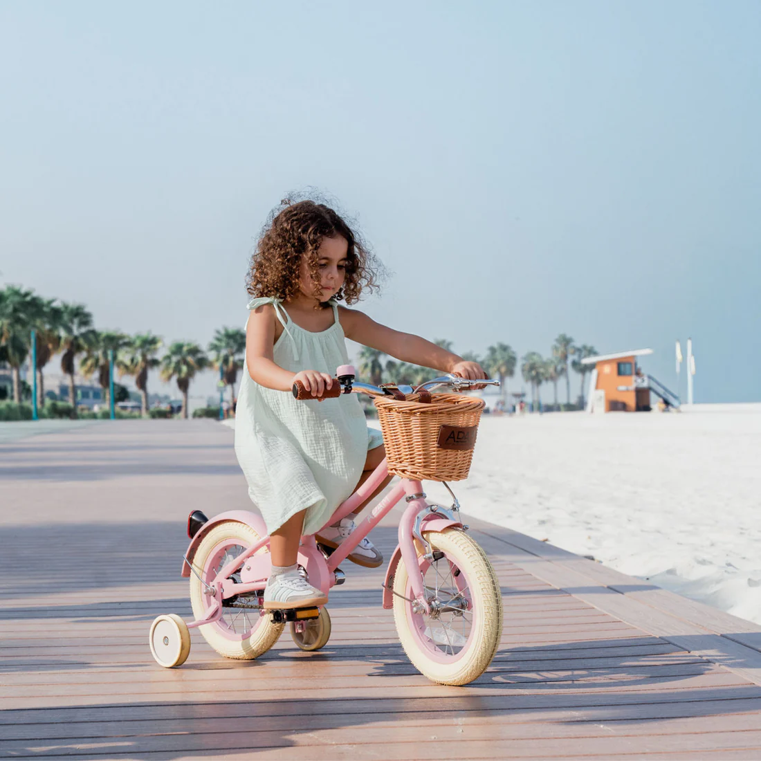 adam bike the dutch style "12