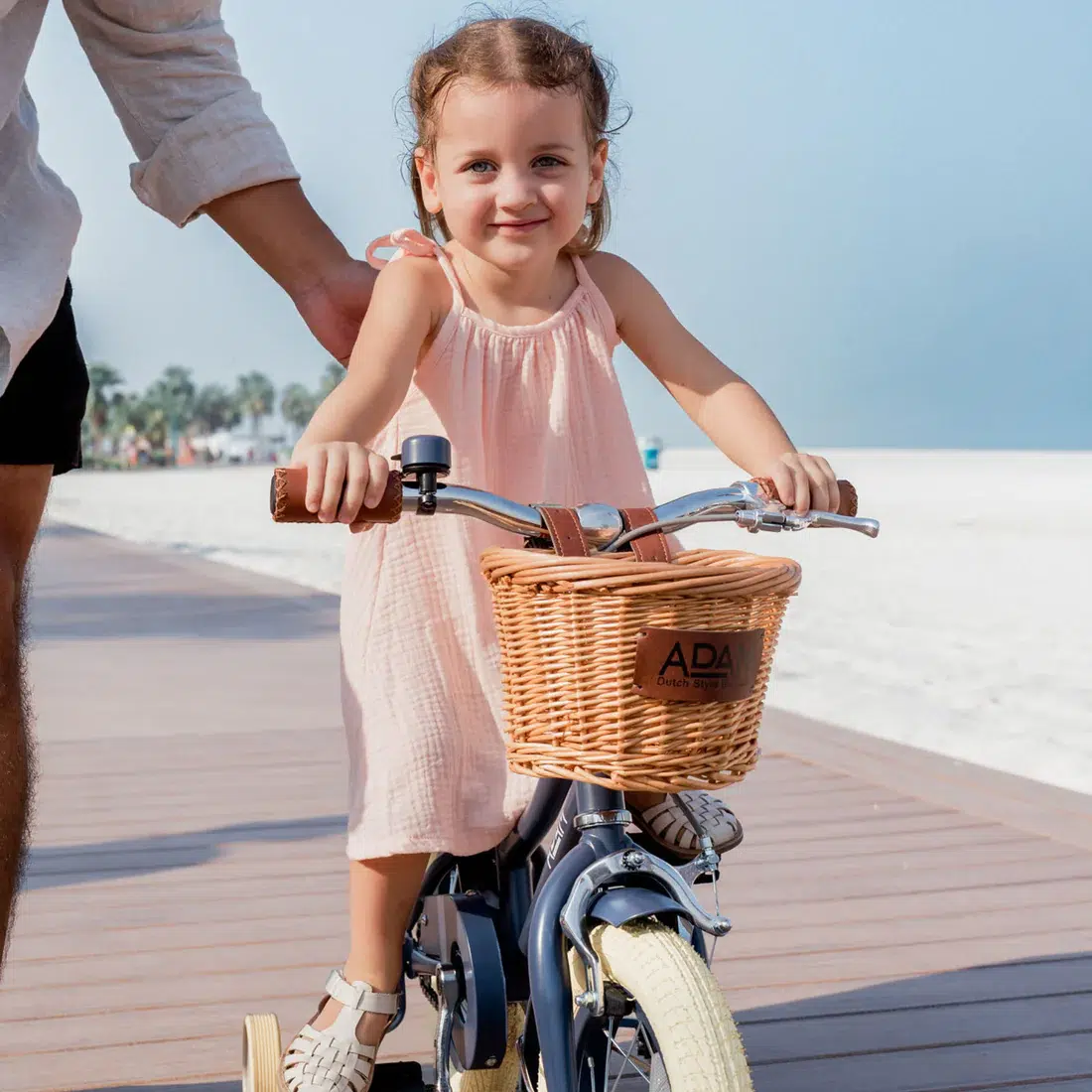 adam bike the dutch style "12