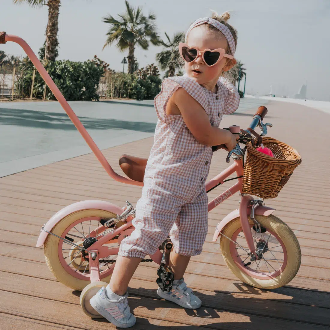 adam bike the dutch style "12