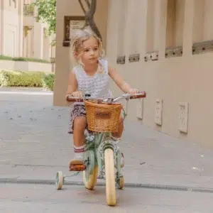 adam bike the dutch style