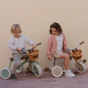 adam bike the tiny tricycle