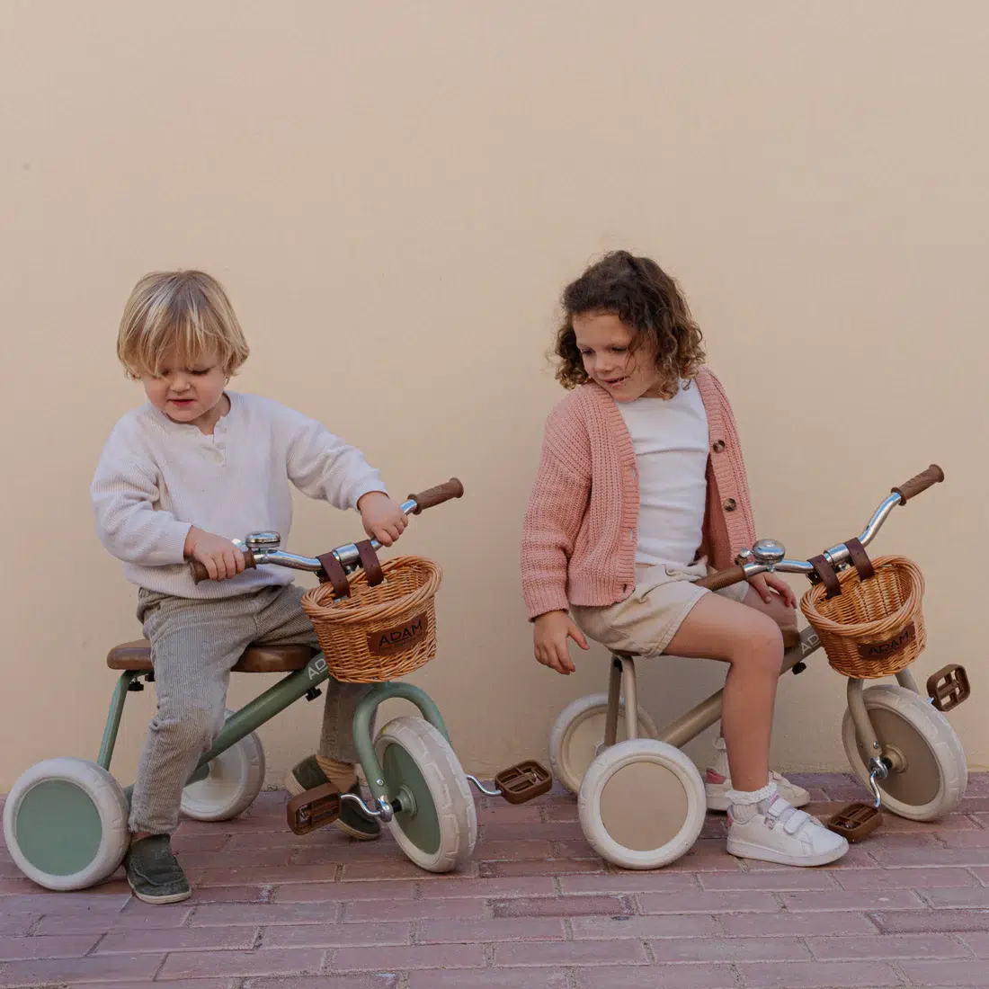 adam bike the tiny tricycle